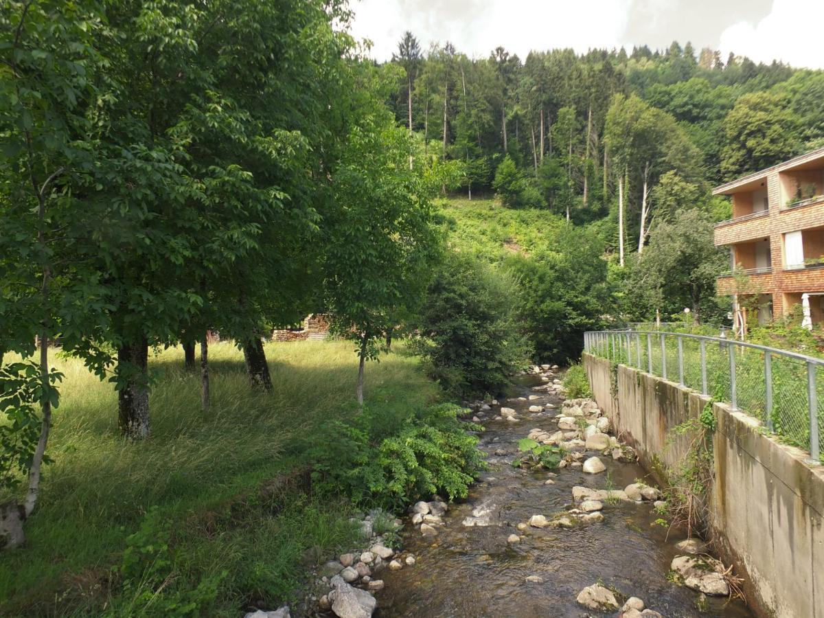 Barrierefreies Apartment Ursulinenhof Oberried  Luaran gambar